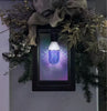Gemmy LightShow Northern Sky Diamond Sparkle Multicolor LED Edison-Style Bulb