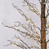 Member's Mark Set of 3 Winter Trees Pre-Lit with Warm White Wire Lights