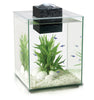Fluval CHI II Series Aquarium Set, 5-Gallon Glass Aquarium Tank with LED Lighting