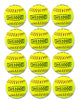 Hit Run Steal 12-inch Practice Softballs - Official Size and Weight 12-Pack