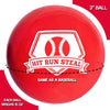 Hit Run Steal 3-inch Weighted Baseballs Hitting, Arm Strength, Throwing 3-Pack