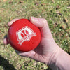 Hit Run Steal 3-inch Weighted Baseballs Hitting, Arm Strength, Throwing 3-Pack