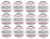 Hit Run Steal Official Size Baseballs for Youth and Adult Baseball Players 12-Pack