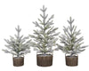 30-Inch 3 Piece Flocked Trees with Warm White LED Lights