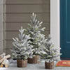 30-Inch 3 Piece Flocked Trees with Warm White LED Lights