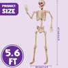 JOYIN 5.6 FT Halloween Posable Skeleton with LED Red Glowing Eyes