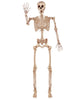 83-Inch Halloween Life-Size Posable Skeleton Bones with Moveable Joints Brown