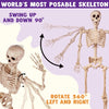83-Inch Halloween Life-Size Posable Skeleton Bones with Moveable Joints Brown