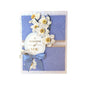 Anna Griffin Cuttlebug Spring Seasonal Embossing Folder Bundle