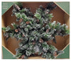 Pre-Lit Battery Operated 40-Inch Decorative Snowflake Wreath with 70 LED Lights