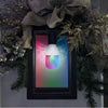 Gemmy Commercial Pro Indoor Multicolor LED Edison String Light Bulbs