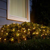 GE StayBright 150-Count Warm White LED Net-Style Christmas Lights 6ft X 4ft