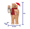 Holiday Living 3.5-FT Rattan Bear with Lantern Christmas Decoration