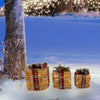 Holiday Living 3-Piece Freestanding LED Rattan Giftboxes Set 11", 9.5", 7.5"