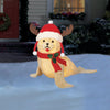 Holiday Living 2-ft LED Sea Lion Christmas Decoration
