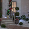 Gemmy 3-foot Orchestra of Lights Topiary Tree with Multicolor LED Lights