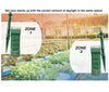 Miracle LED M.LED Hydroponics 2-Time Zone Indoor Growing System