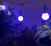 Miracle LED Nanometer 450 Indoor Grow Light Kit Blue Spectrum (8-Pack)