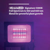 Miracle LED 52W Mighty Grow Lamp Kit for Indoor Growing Red/Blue Spectrum 6-Pack