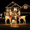 Member's Mark Pre-Lit 3 Piece Twinkling Woodland Deer Family with Twinkling Effect