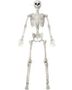 83-Inch Halloween Life-Size Posable Skeleton Bones with Moveable Joints