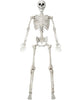 JOYIN 83-Inch Halloween Life-Size Posable Skeleton Bones with Moveable Joints