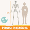83-Inch Halloween Life-Size Posable Skeleton Bones with Moveable Joints