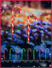 Treela 12-Piece 36-inch Christmas Candy Cane Lights Pathway Markers Red and Green
