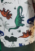 Members Mark 3-Piece Dino Slumber Set (Tent, Sleeping Bag and Carry Bag)