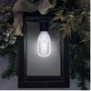 Gemmy LightShow Diamond Sparkle White LED Edison-Style Light Bulbs