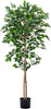 HAIHONG 1Pack 5FT Artificial Ficus Tree with Realistic Leaves and Natural Trunk