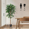 HAIHONG 1Pack 5FT Artificial Ficus Tree with Realistic Leaves and Natural Trunk