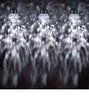 LightShow Projection Light String Set of 8 White 12-FT Total Length