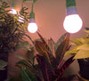 Miracle LED Nanometer 660 Indoor Grow Light Kit Red Spectrum (8-Pack)