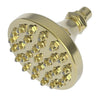 Newport Brass 214/03 is a single-function brass shower head -polished brass