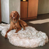 Luxury Faux Fur Orthopedic Dog Bed Memory Foam Dog Bed White/Brown L/XL