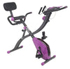 FITNATION Upright and Recumbent Flex Bike Express Purple