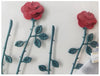 Jolee's Boutique Themed Stickers-Red Roses