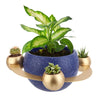 TXMLXY Cosmic Star Succulent Pots, Cute Plant Pot, Gift Planter with Drainage Hole