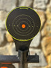 Birchwood Casey USA World of Targets Transistor Handgun Target 3/8" AR500 6" Steel & Plastic Paddle
