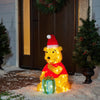 Disney 28.5-in Winnie The Pooh Lighted Tinsel Yard Sculpture White Lights