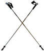 LEKI Nordic Walking Platinium Carbon Series Fixed Length Walking Sticks 115cm Silver