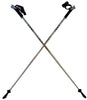 LEKI Nordic Walker Platinium Limited Edition Carbon Series 120cm Silver