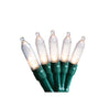GE StayBright 500 LED Microbright String Lights Warm White Green Wire