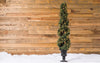 Holiday Living 5 ft Pre-Lit Cypress Spiral Tree