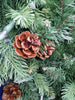 Kirkland Signature 9' Pre-Lit Garland Clear Lights