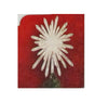 Home Holiday Accents 13 Inch Snowflake Tree Topper