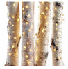 Battery Operated LED Micro Lights 4-Sets