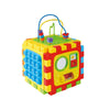 Playgo Activity Cube