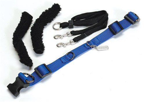 Sporn Pet No Pull Halter Blue Xlarge Size 23 to 33 Inches